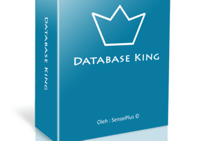 Database King